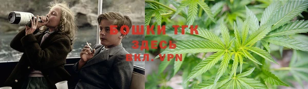 прущая мука Вяземский