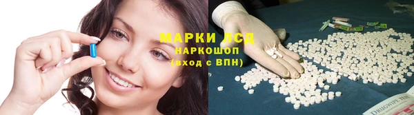 амф Горняк