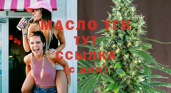 амф Горняк
