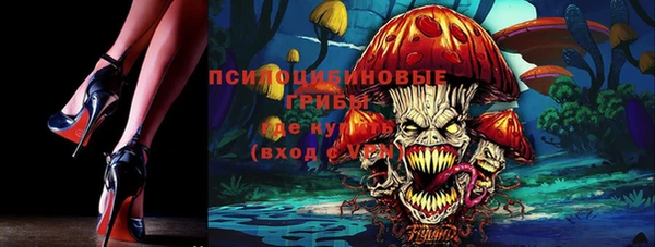 МДМА Горнозаводск