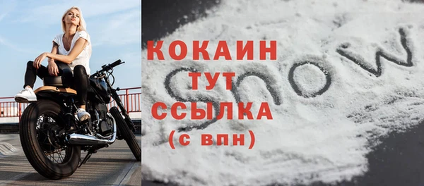 прущая мука Вяземский