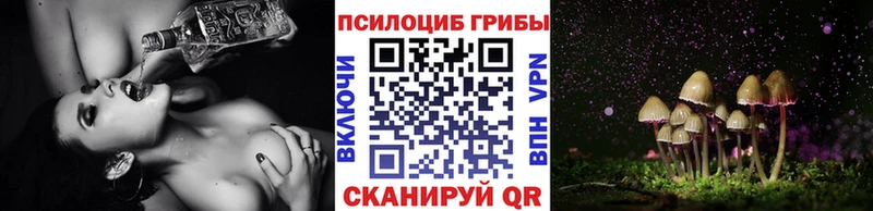 Галлюциногенные грибы Psilocybe Карабаш
