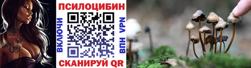 Галлюциногенные грибы Cubensis  Купить закладки  Карабаш 